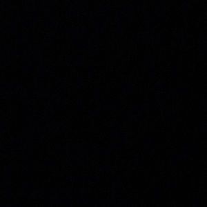 Meet your Posher, Josie